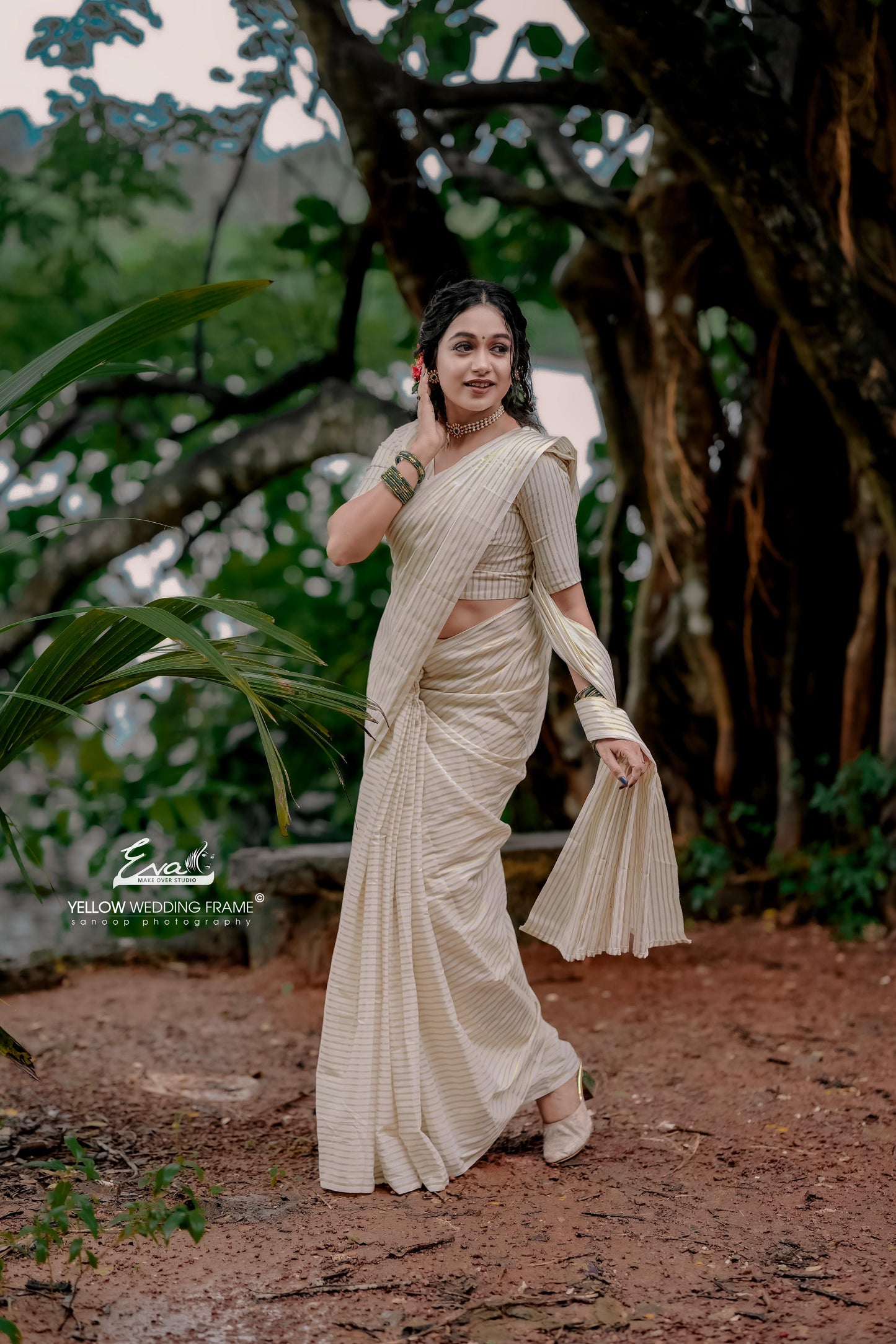 SS97- Golden Micro lines cotton saree